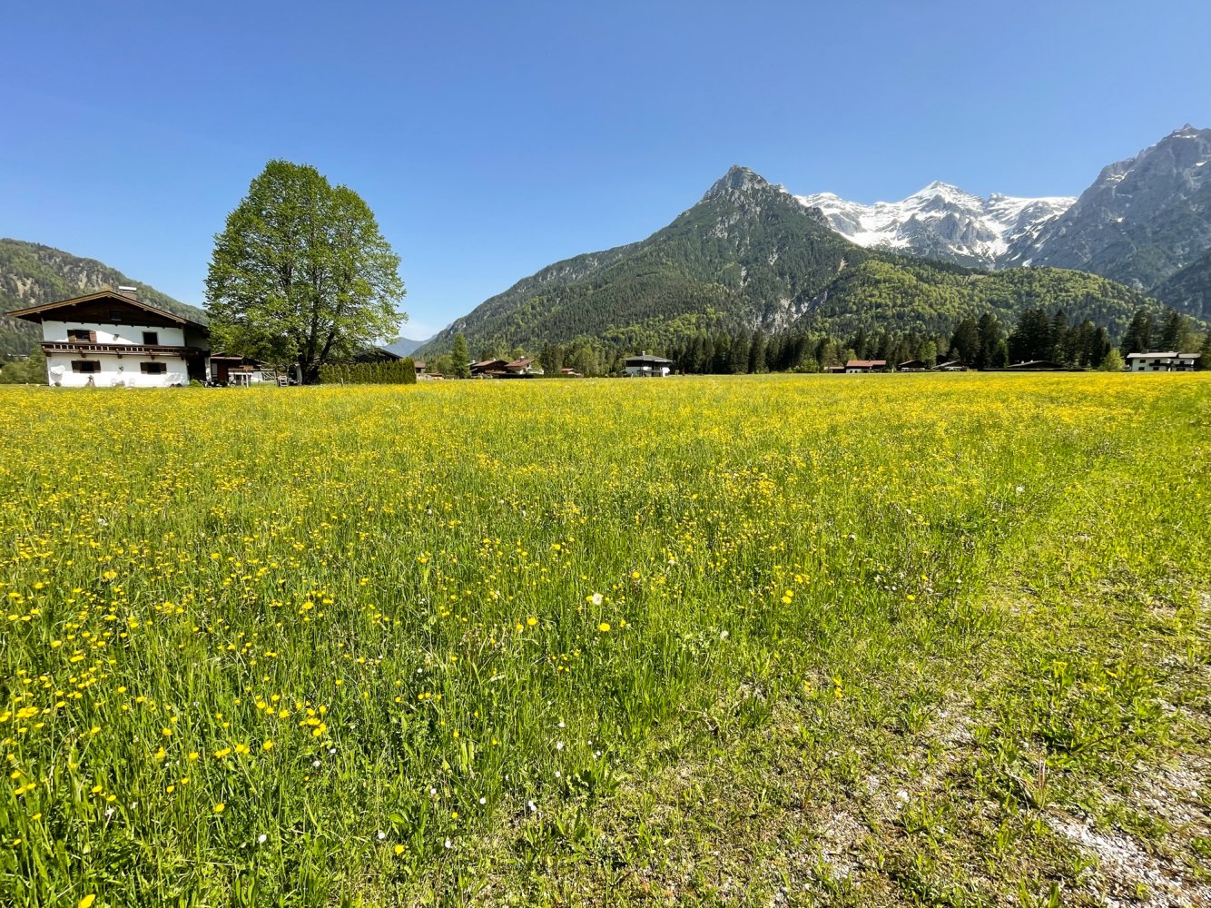 Земельный участок в Занкт Улрих ам Пиллерзе, Австрия № 87168