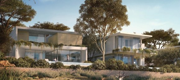 5 bedrooms Villa in The Valley, UAE No. 20406 4