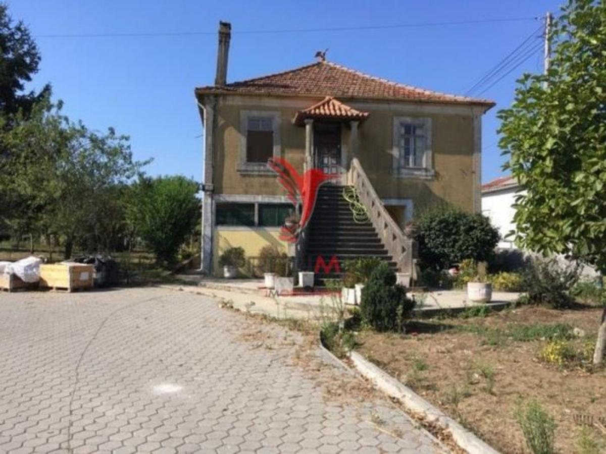9 Schlafzimmer Haus in Vila Nova de Gaia, Portugal, Nr. 2669