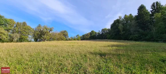 29282m² Land in Tullnerbach, Austria No. 205880 7