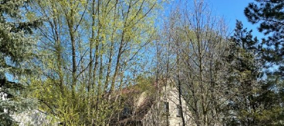 Коммерческая недвижимость в Баутцен, Германия № 361529 12