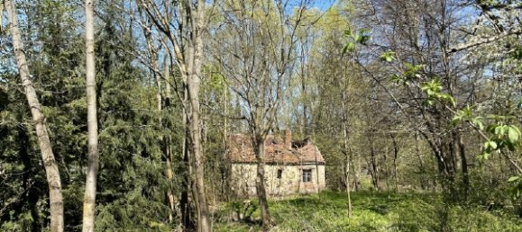 Коммерческая недвижимость в Баутцен, Германия № 361529 28