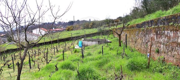 5 Schlafzimmer Haus in Santa Marta de Penaguiao, Portugal, Nr. 181671 25