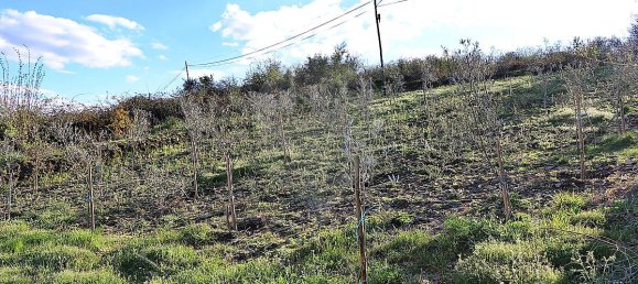 5 Schlafzimmer Haus in Santa Marta de Penaguiao, Portugal, Nr. 181671 28