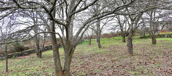 5 Schlafzimmer Haus in Santa Marta de Penaguiao, Portugal, Nr. 181671 29