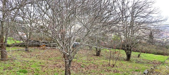 5 Schlafzimmer Haus in Santa Marta de Penaguiao, Portugal, Nr. 181671 30