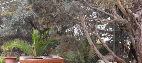 7-Zimmer Villa in Matera, Italy, Nr. 150560 25