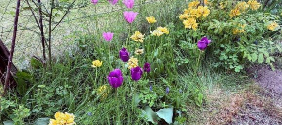 3غرفة منزل في Schrems, Austria رقم 68801 6