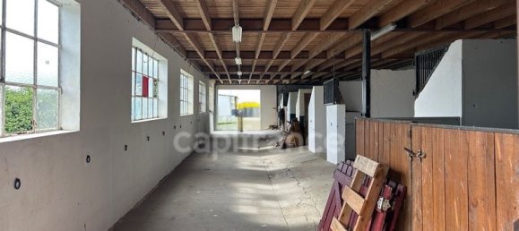 4 bedrooms House in Brugheas, France No. 343478 11