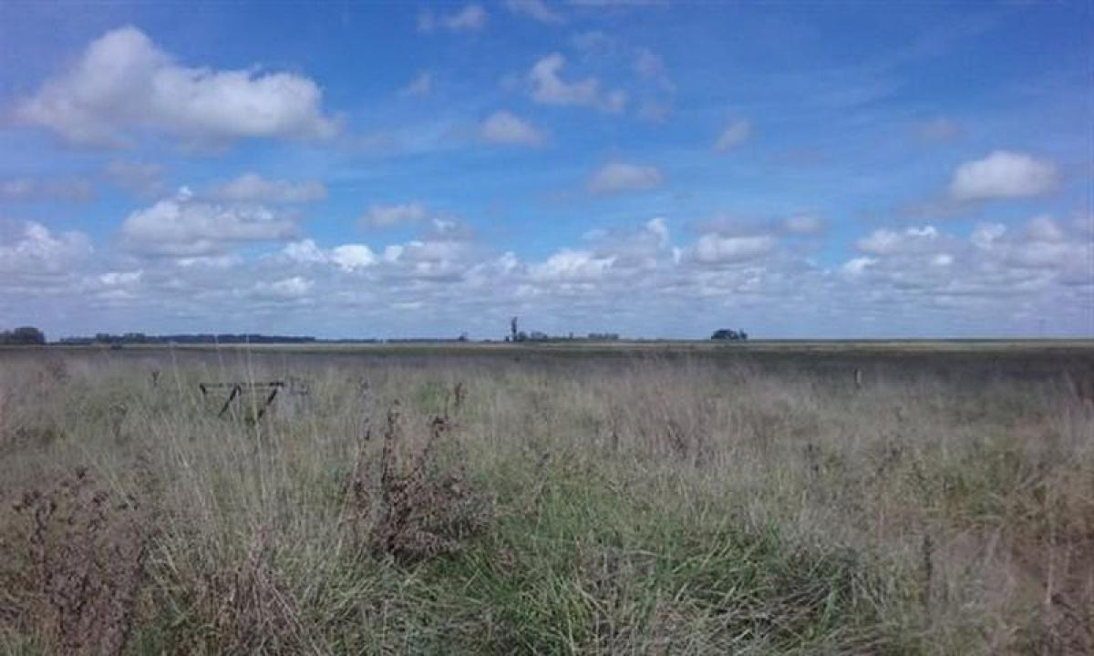  Land in Brandsen, Argentina No. 31065
