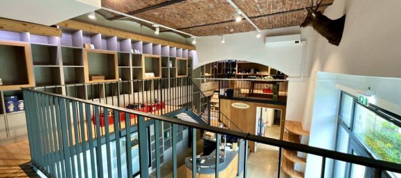 Gewerbliche Immobilie in Millstatt am See, Austria 81m², Nr. 206306 4