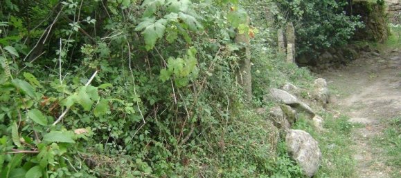 1 Schlafzimmer Haus in Marco de Canaveses, Portugal, Nr. 78868 2