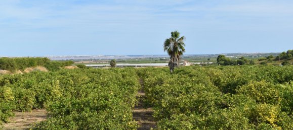 5 Schlafzimmer Haus in Torremendo, Spain, Nr. 134853 4