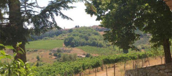 13 rooms Hotel in Castellina in Chianti, Italy No. 102383 36