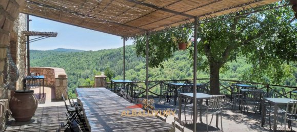 13 rooms Hotel in Castellina in Chianti, Italy No. 102383 9