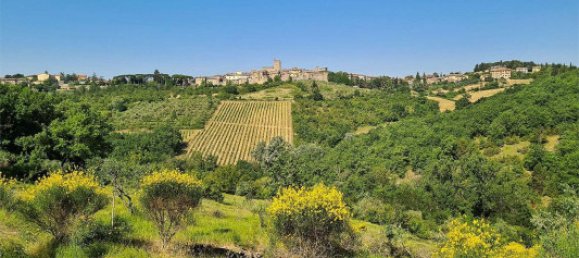 13 rooms Hotel in Castellina in Chianti, Italy No. 102383 31