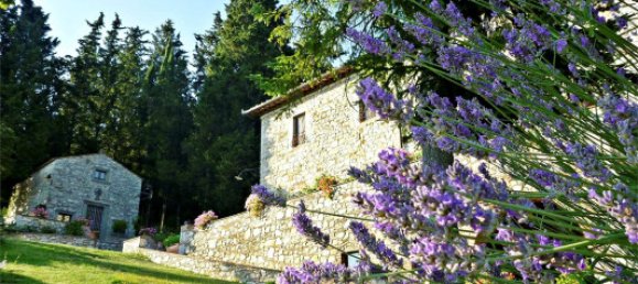 13 rooms Hotel in Castellina in Chianti, Italy No. 102383 3