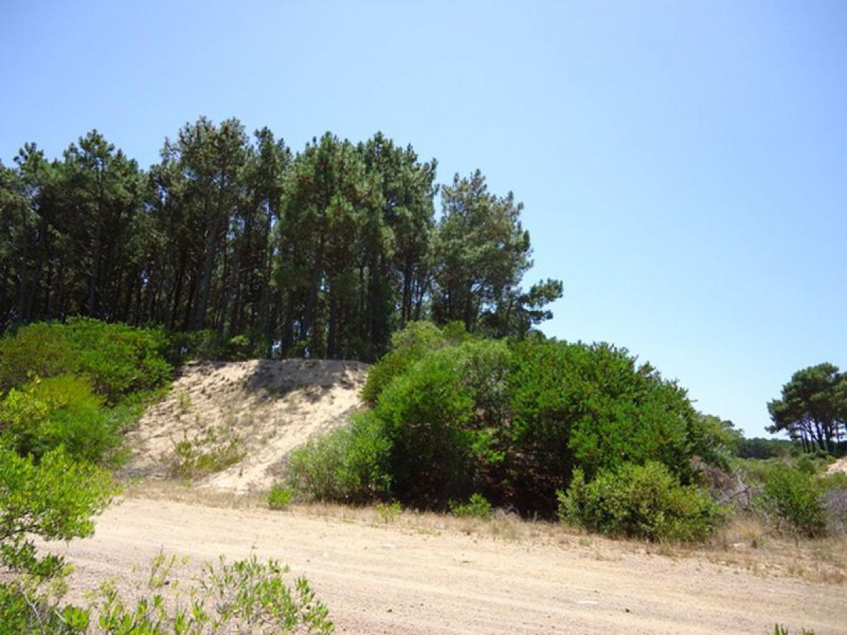 Grundstück in Maldonado, Uruguay, Nr. 14247
