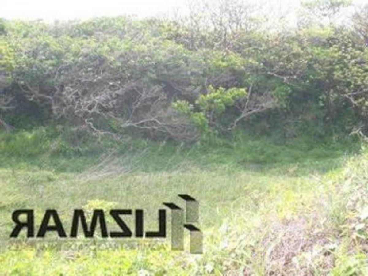 Grundstück in Veracruz, Mexico, Nr. 205765