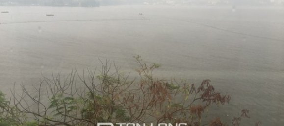 5 Schlafzimmer Haus in Tay Ho, Vietnam, Nr. 2298 13