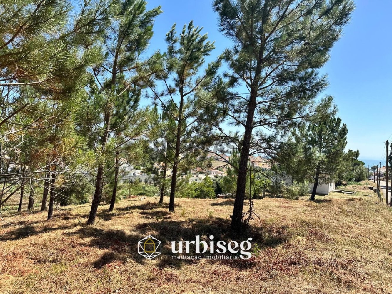  Land in Figueira da Foz, Portugal No. 298102