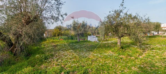 2 bedrooms House in Estremoz, Portugal No. 22506 5