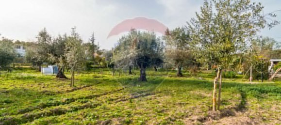 2 bedrooms House in Estremoz, Portugal No. 22506 2