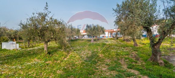 2 bedrooms House in Estremoz, Portugal No. 22506 4