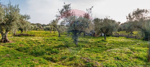 2 bedrooms House in Estremoz, Portugal No. 22506 6