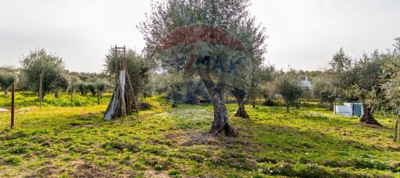 2 bedrooms House in Estremoz, Portugal No. 22506 3