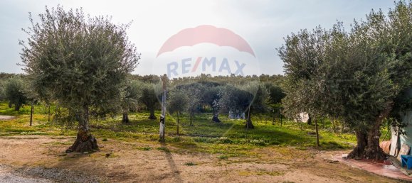 2 bedrooms House in Estremoz, Portugal No. 22506 31