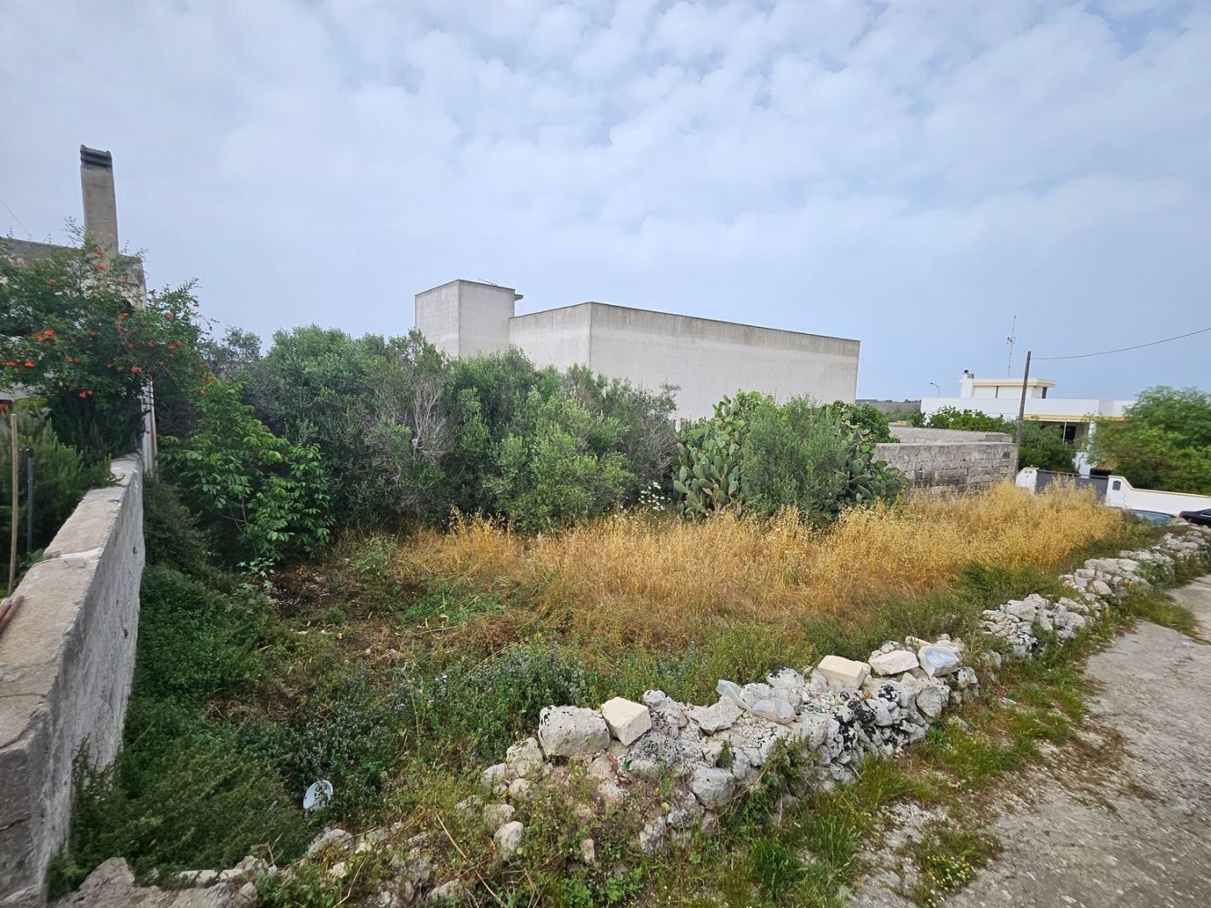 635m² Land in Minervino di Lecce, Italy No. 66271