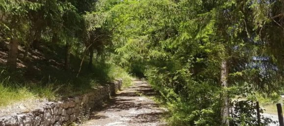 4غرفة فيلا في Lauria, Italy رقم 35314 6