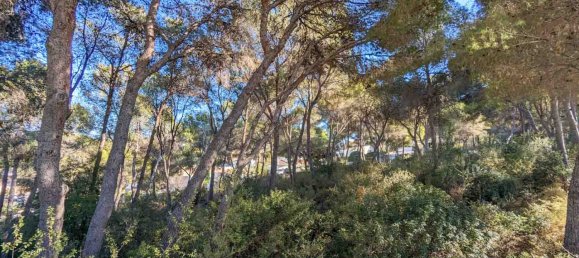 6 bedrooms Villa in Moraira, Spain No. 12241 7