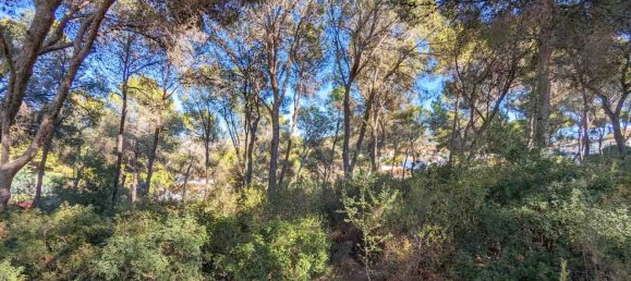 6 bedrooms Villa in Moraira, Spain No. 12241 9