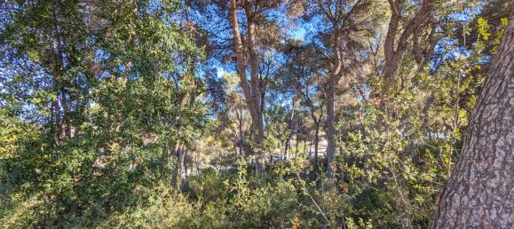 6 bedrooms Villa in Moraira, Spain No. 12241 5