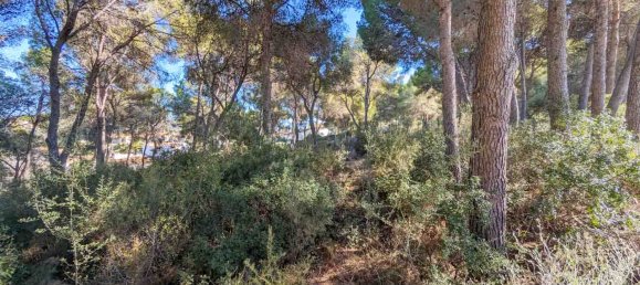 6 bedrooms Villa in Moraira, Spain No. 12241 8