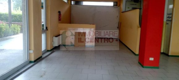 Gewerbliche Immobilie in Massa, Italy 300m², Nr. 39666 5