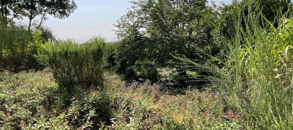 Apartamento de 2 divisões em Neuwied, Germany N.º 59390 5