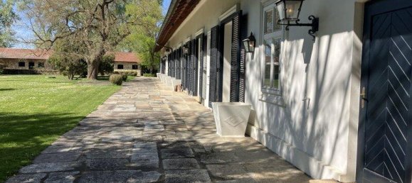 17-Zimmer Haus in Klosterneuburg, Austria, Nr. 173323 3