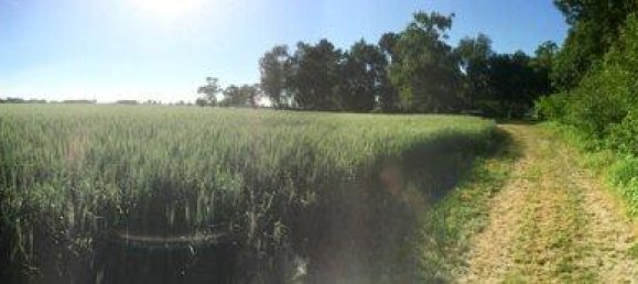 17-Zimmer Haus in Klosterneuburg, Austria, Nr. 173323 13