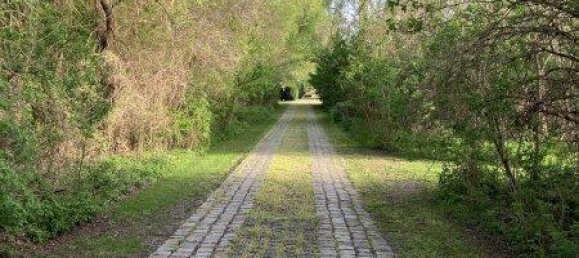 17-Zimmer Haus in Klosterneuburg, Austria, Nr. 173323 7