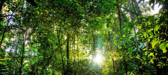 Отель, гостиница 1074000м² в Амазон, США № 229 2