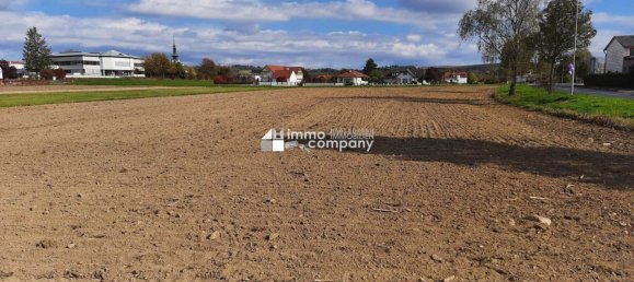 29817m² Land in Markt Allhau, Austria No. 243111 3