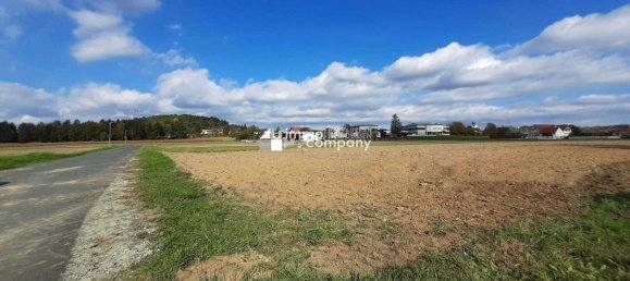 29817m² Land in Markt Allhau, Austria No. 243111 2