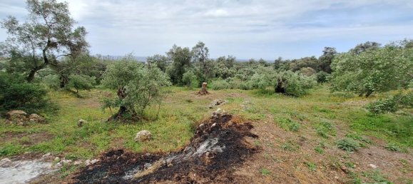 Hôtel à Corfu, Greece 6700m² No. 53190 6