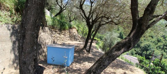 7-Zimmer Haus in Avegno, Italy, Nr. 156783 22