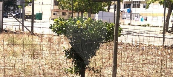  قطعة أرض في Moita, Portugal 264متر مربع رقم 50612 4