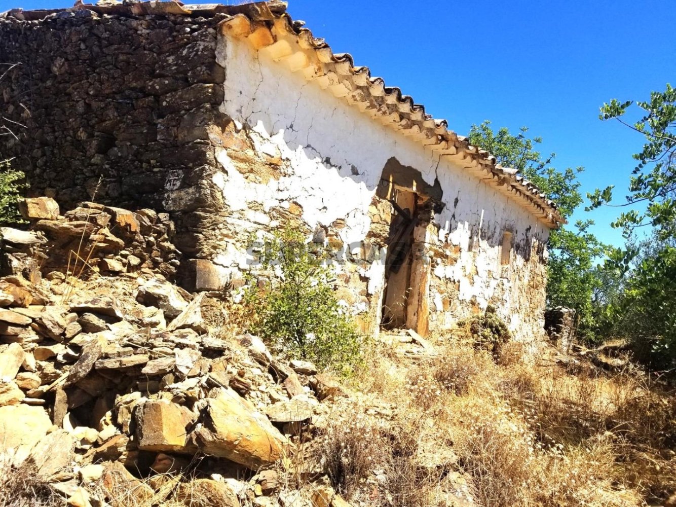 Terreno T3 em Salir, Portugal N.º 159135