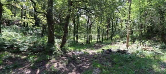 Земельный участок 4980м² в Аркуш ди Валдевеш, Португалия № 57795 8